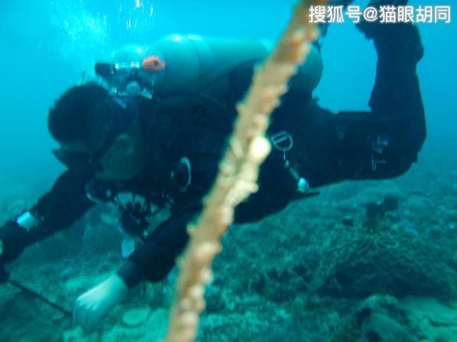逃离沙漠小镇